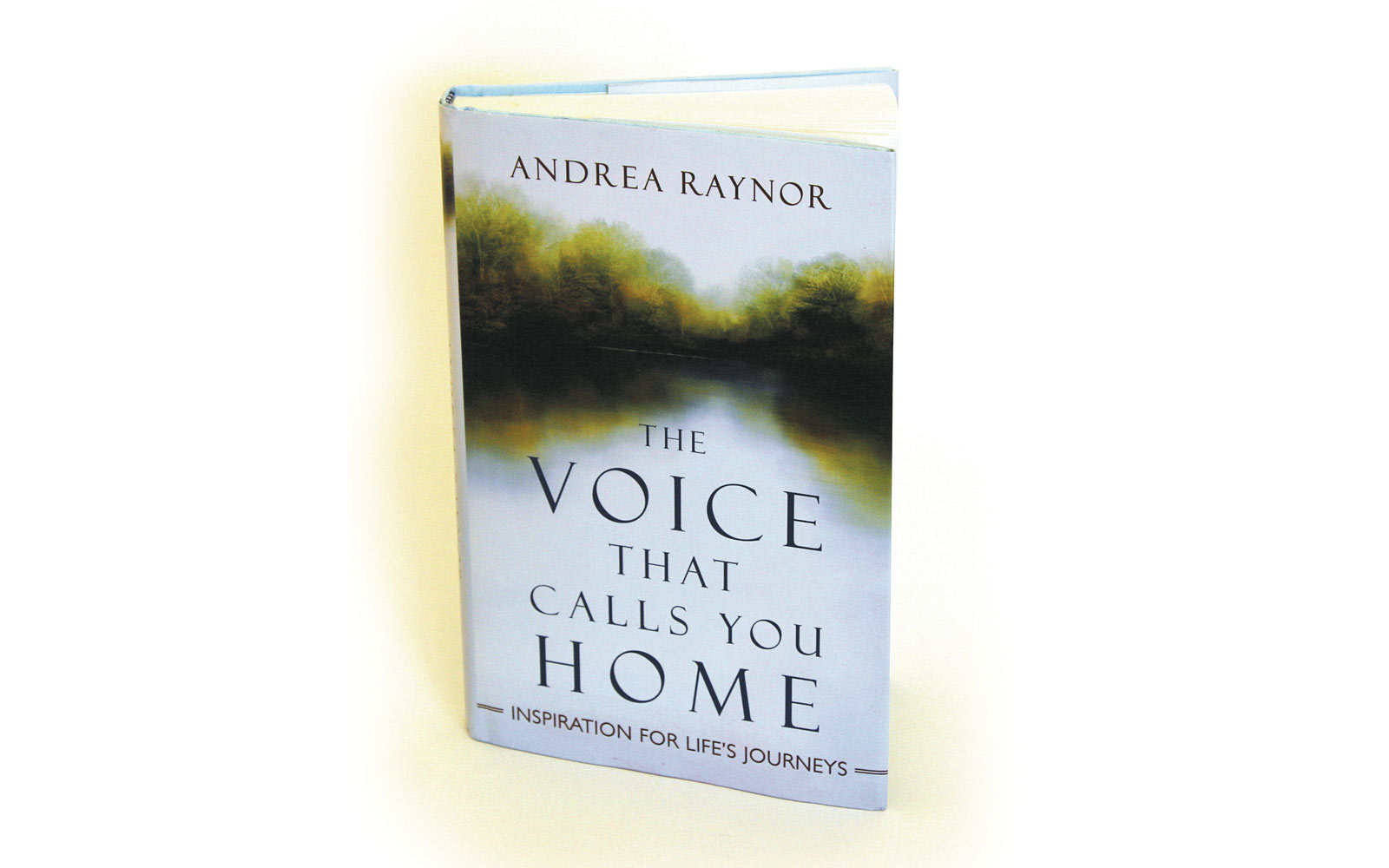 As Raynor and her editor, Peter Borland, worked to choose an artist to create the cover image for her new book, <strong>The Voice that Calls You Home</strong>, each separately came in contact with artist and Raynor's fellow classmate Peter …