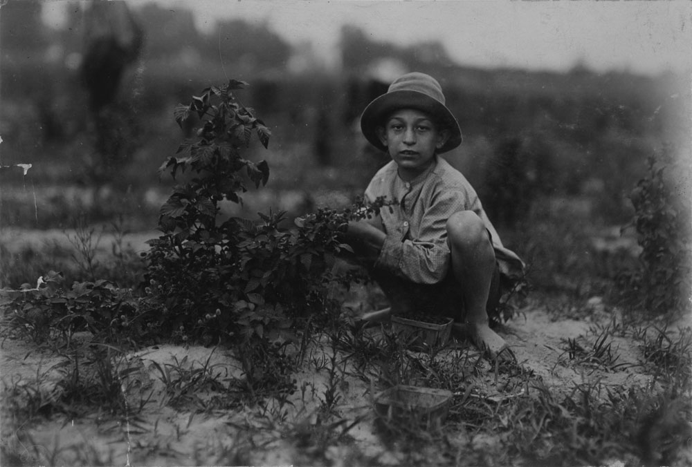 Lewis Hine, Norris Lovitt. Been picking for 3 years in berry fields near Baltimore.