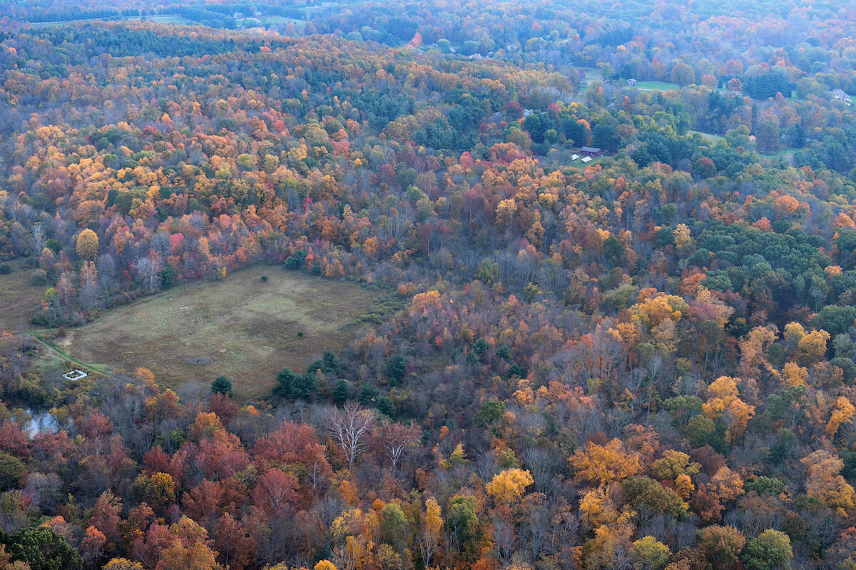 Biological Reserve aerial