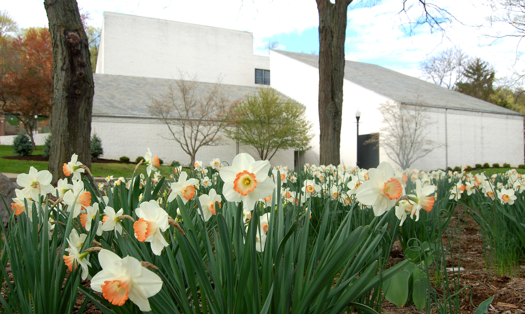 Burke Hall