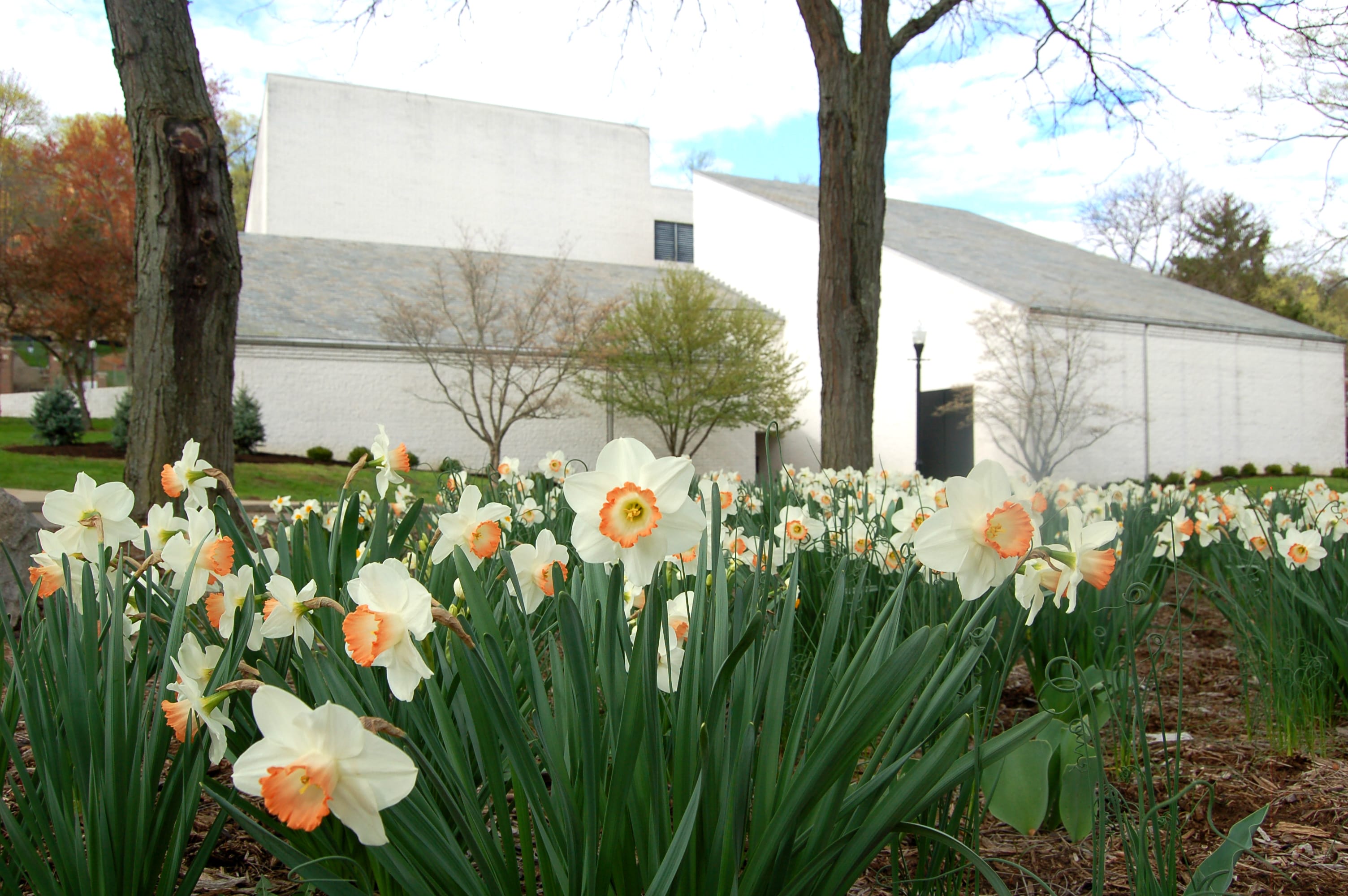 Burke Hall