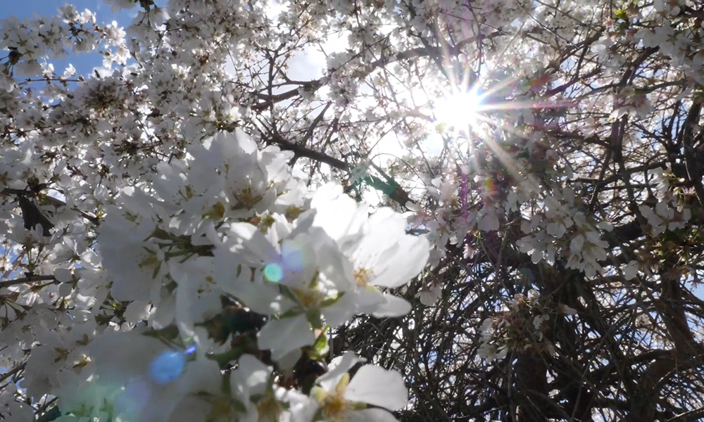 Stills from the student-directed films