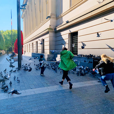 Chasing Pigeons