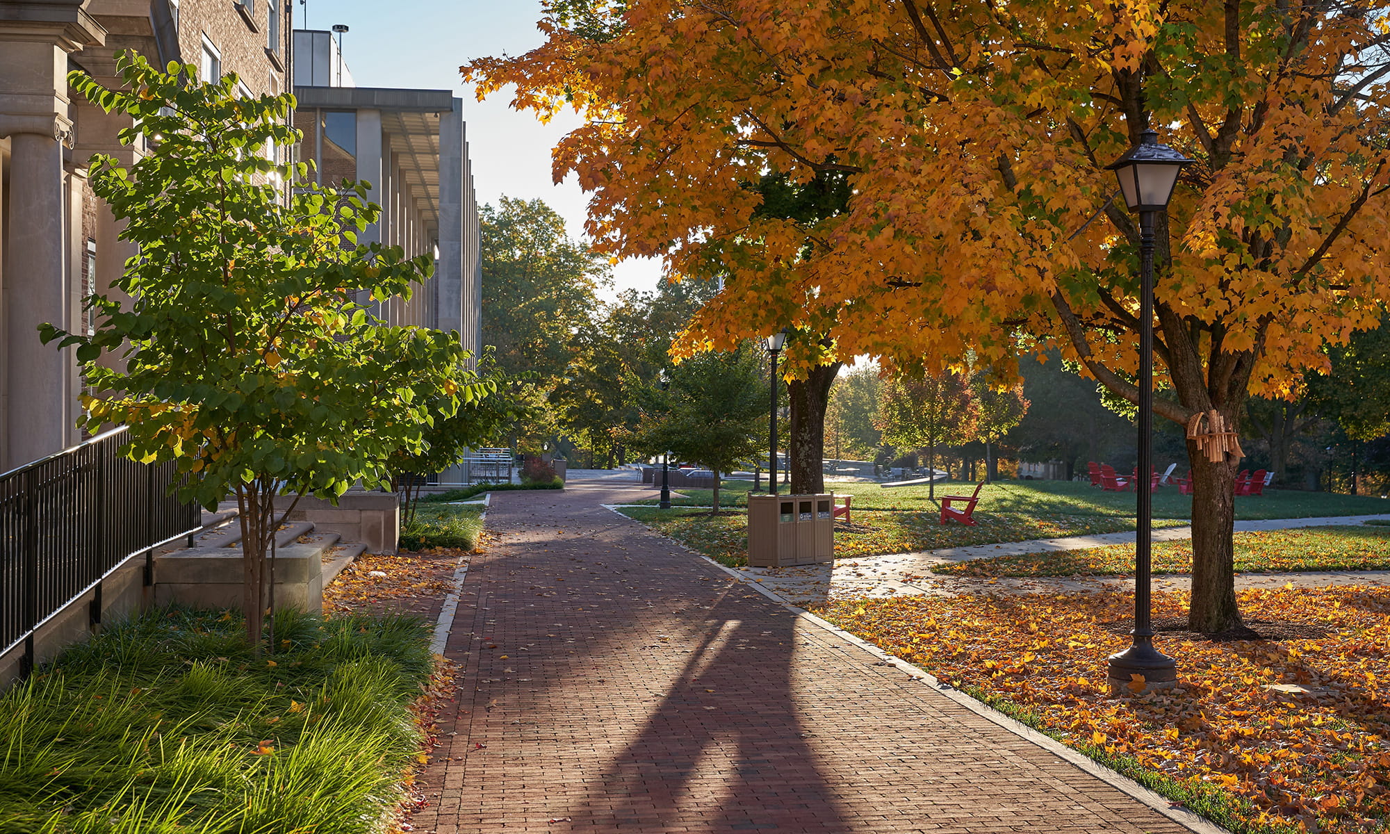 Campus in the fall