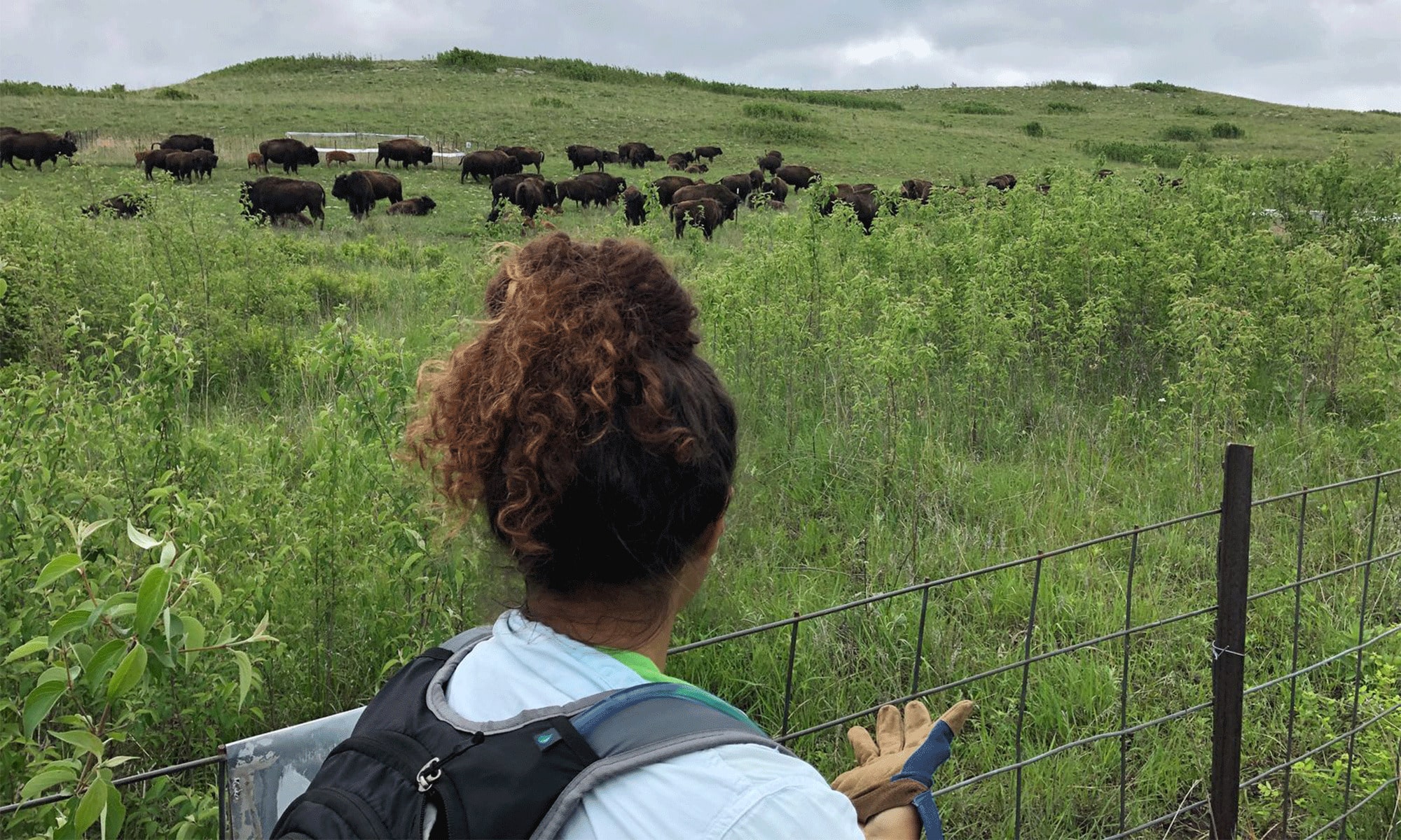 Data analyst Maya Parker-Smith in the field