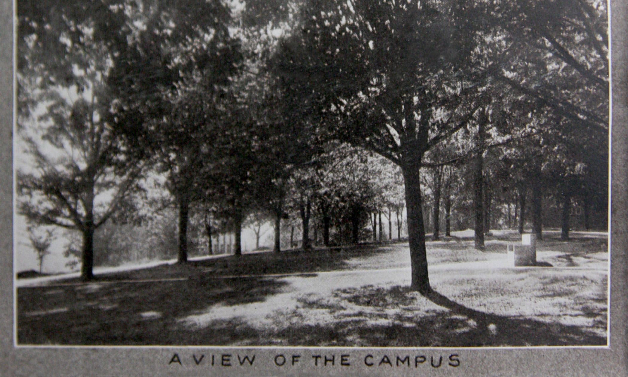 A-quad in 1928