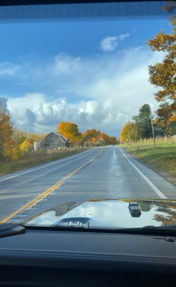 Car view