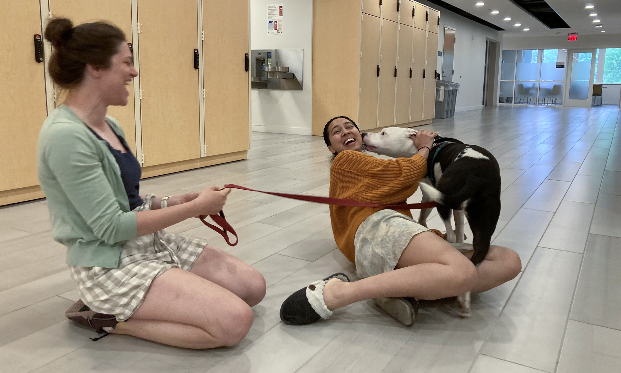 a student and staff member play with a dog