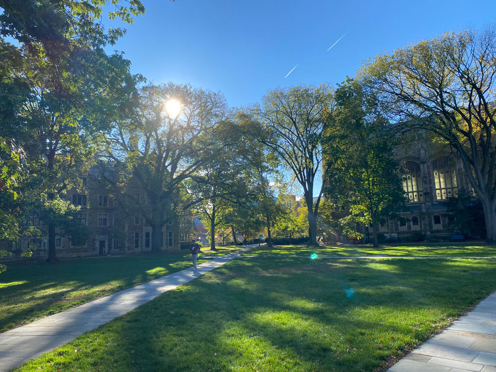 Law Quad Campus