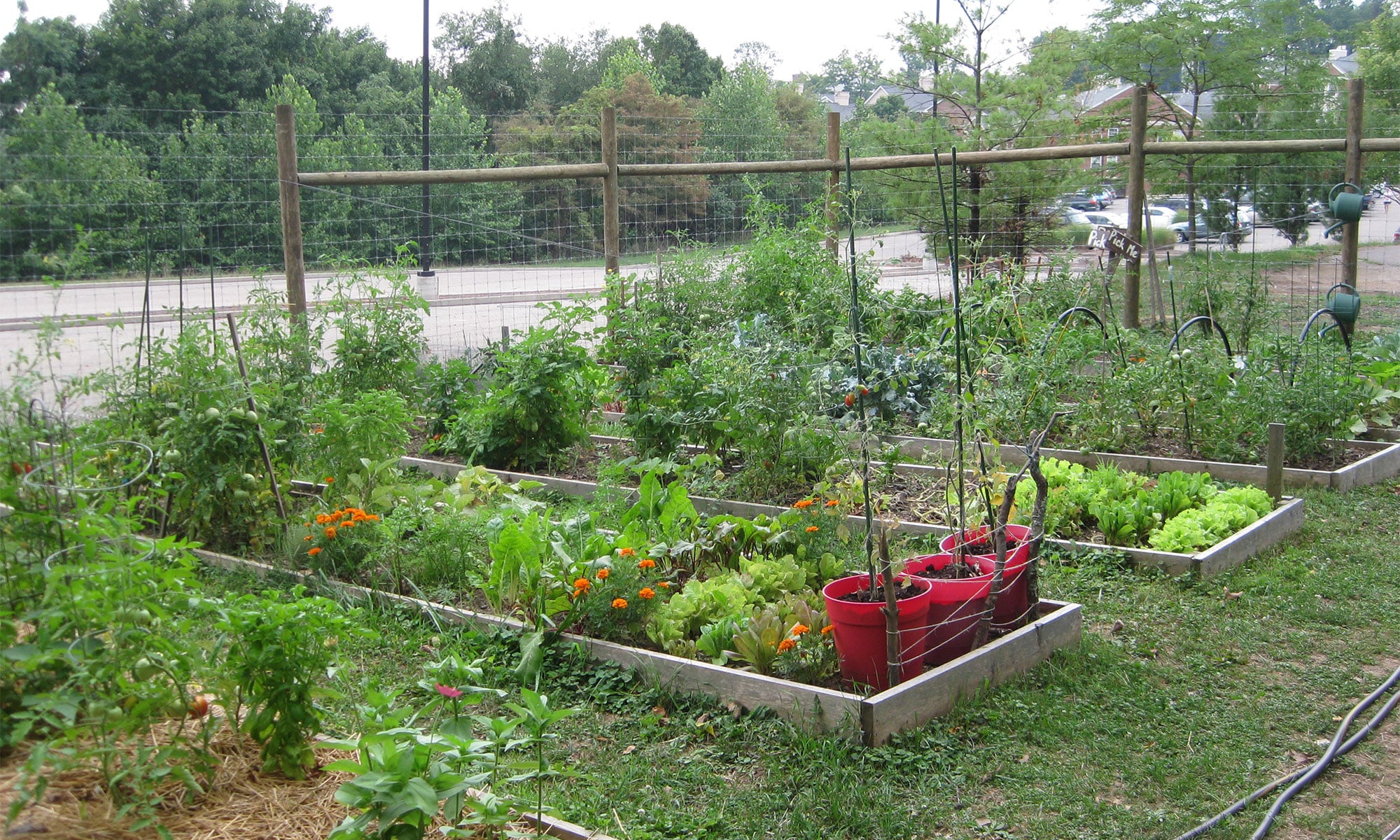 Community garden