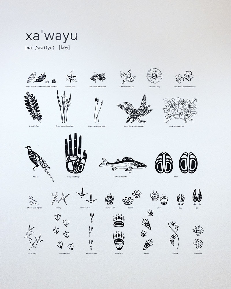 Image from ka’yasu’/ne’nakw exhibition