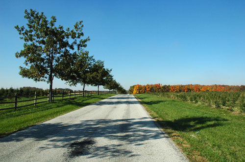 Infirmary Mound Park