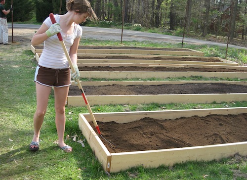 Denison Community Garden