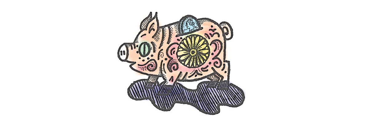 Pig illustration