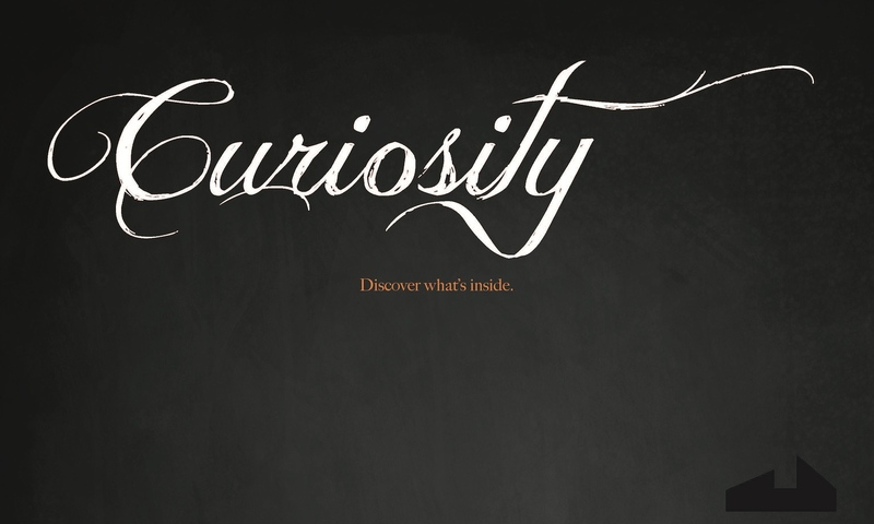 Graphic for Curiosity exhibition