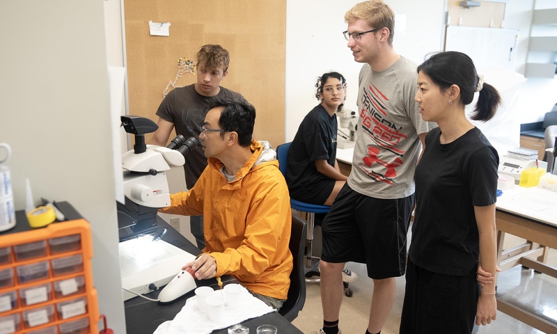 Students viewing research with professor