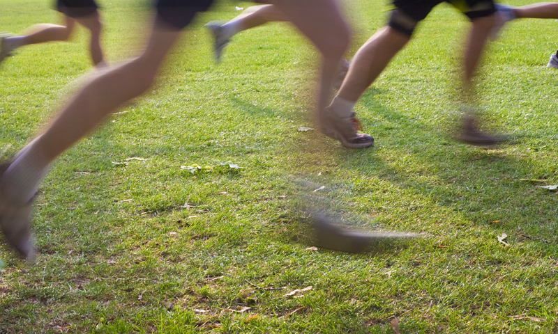 Men's Cross Country vs NCAA Championship (Hosted by Rose-Hulman University) | 