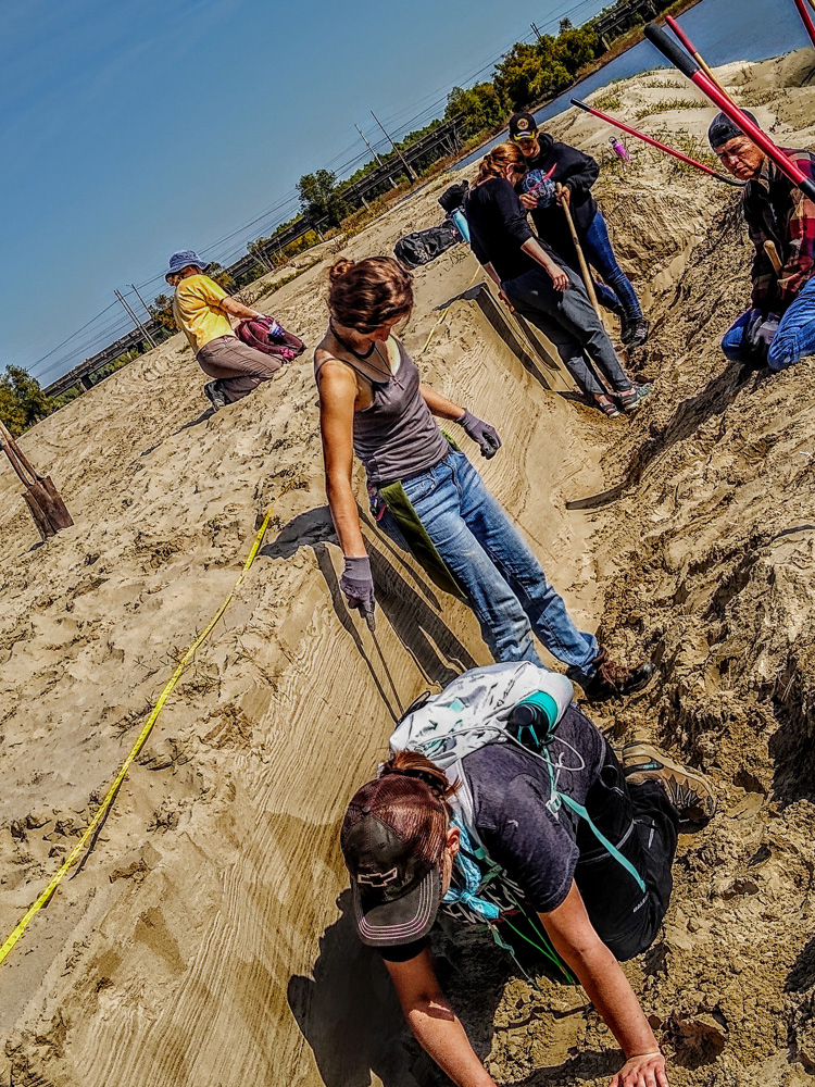 Researching the Mississippi Delta