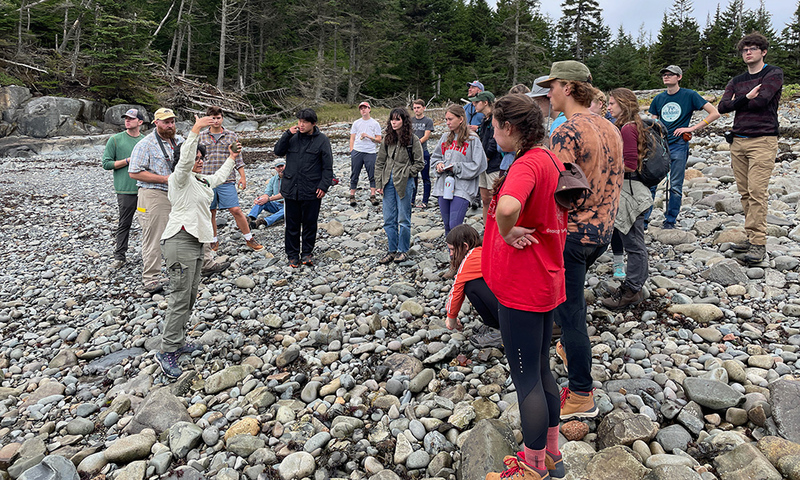 Ironbound Island on the Coast of Maine