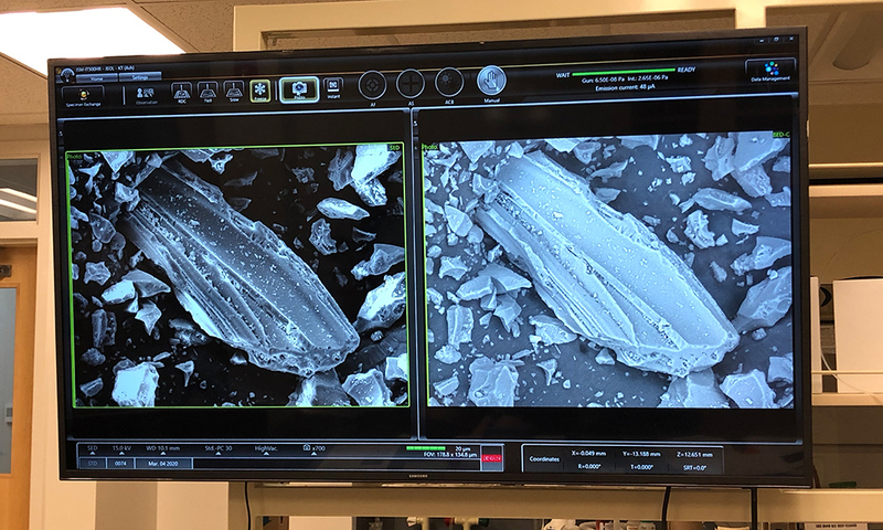 SEM images on a screen