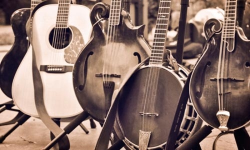 Bluegrass Instruments