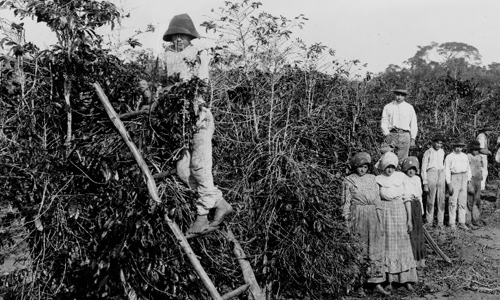 Black and white photo of people in a rural area