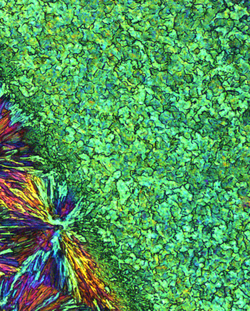 Image showing a dichroic organic charge-transfer columnar liquid crystal film with randomly aligned regions (bottom left) and a "fast" written laser patterned region that is now completely isotropic (upper right)