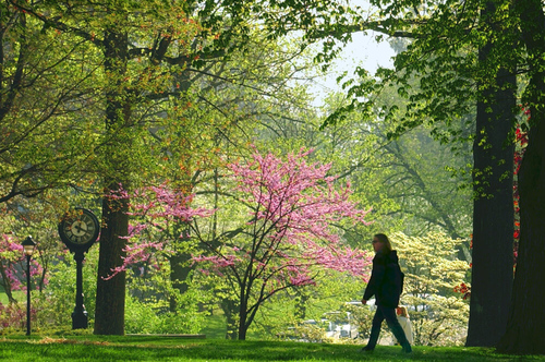 denison campus with student walking in shadows