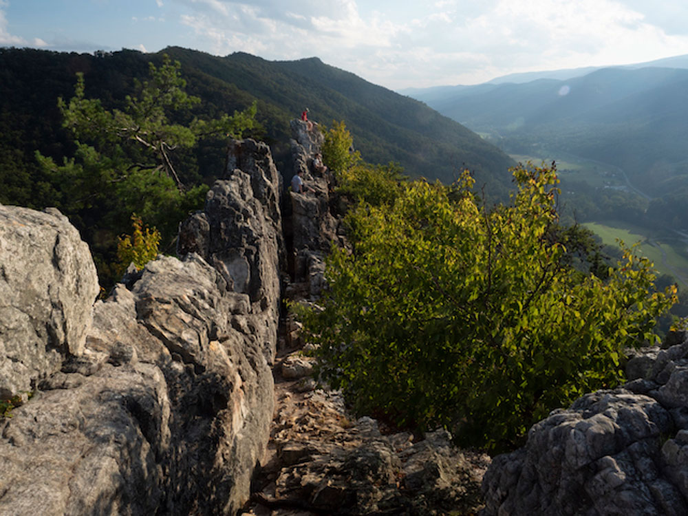 Landscape with rocks and trees