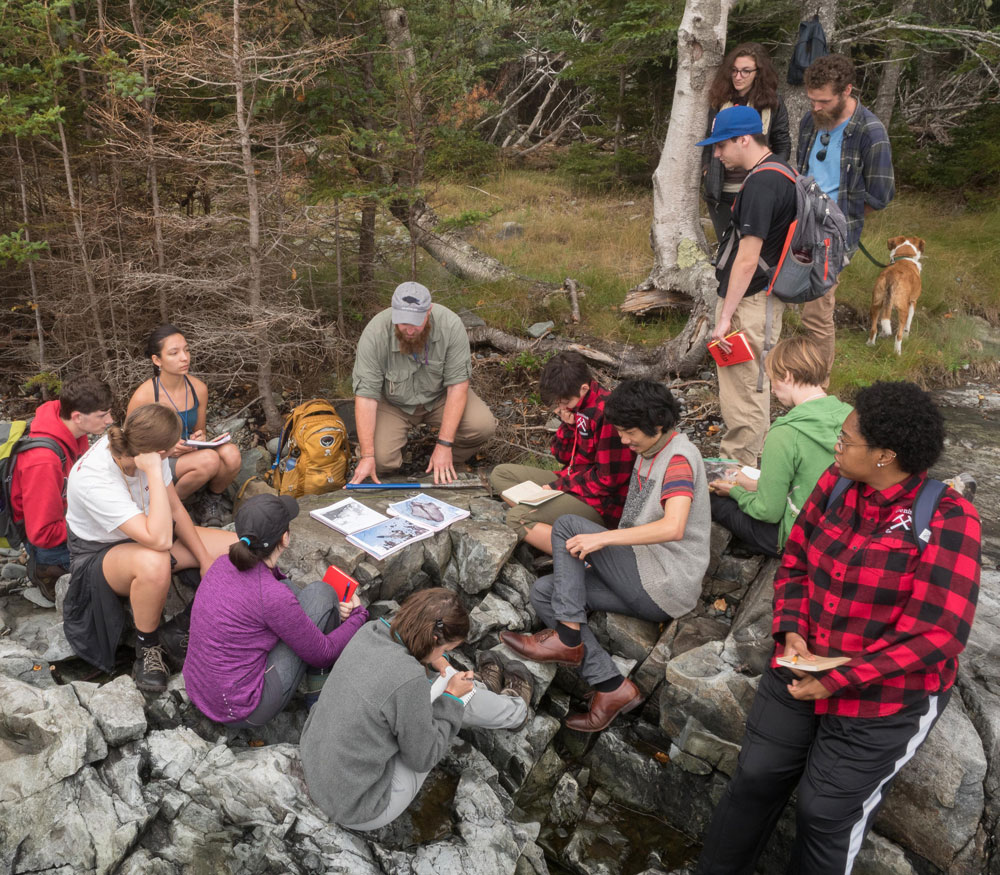 Students learning in a group