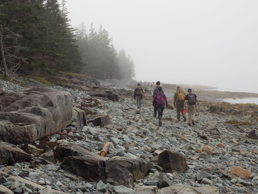 Students walking away from the camera on the rocks