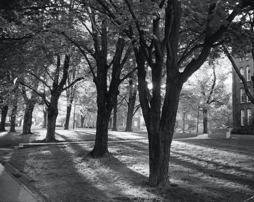 Black and white photo of campus