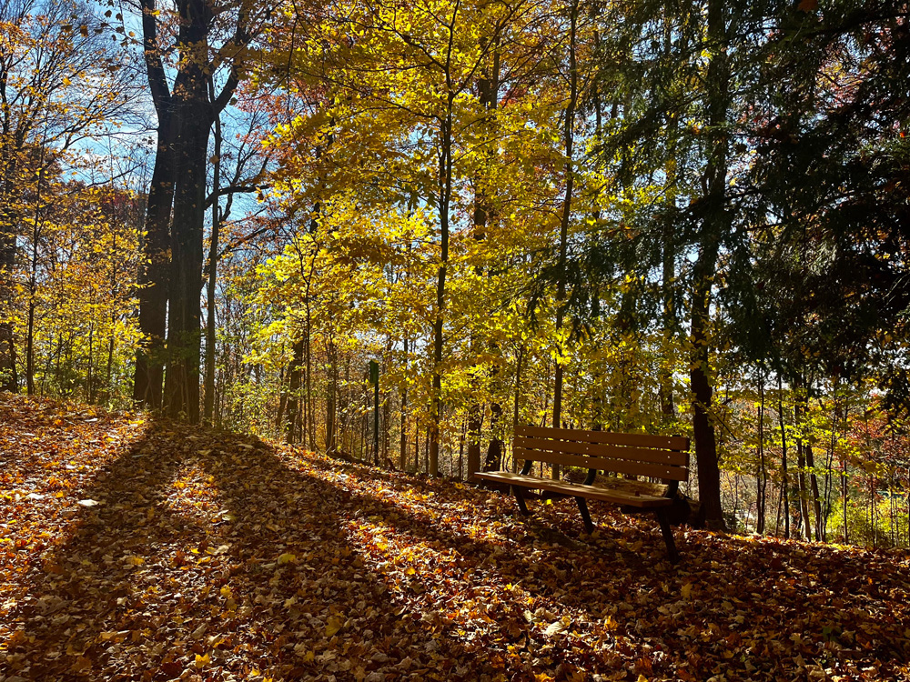 Sugar Loaf Park