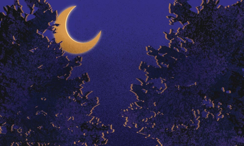 Illustration of a yellow crescent moon against a deep blue night sky, seen through the silhouette of a tree canopy.