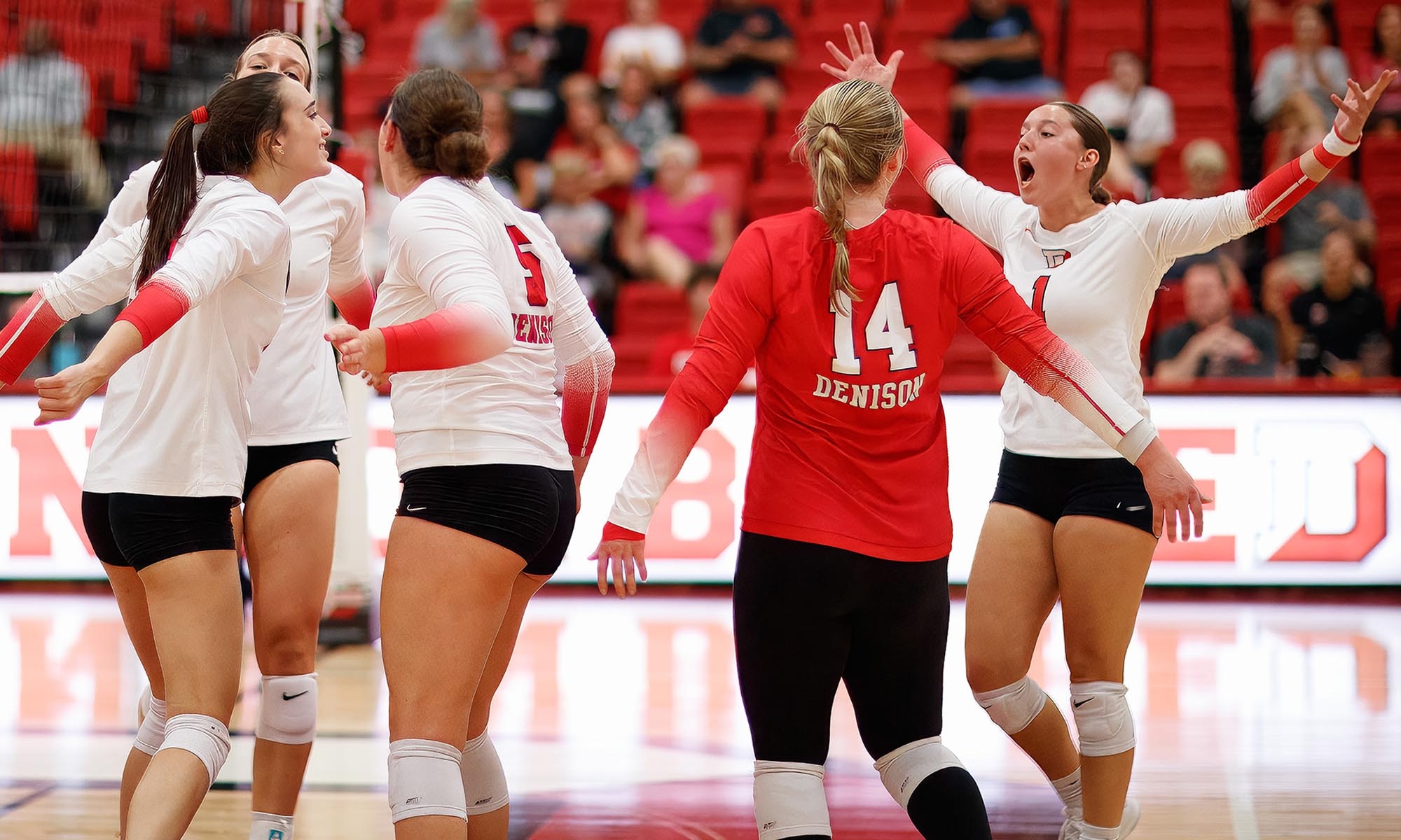 Denison's volleyball team celebrating a win.