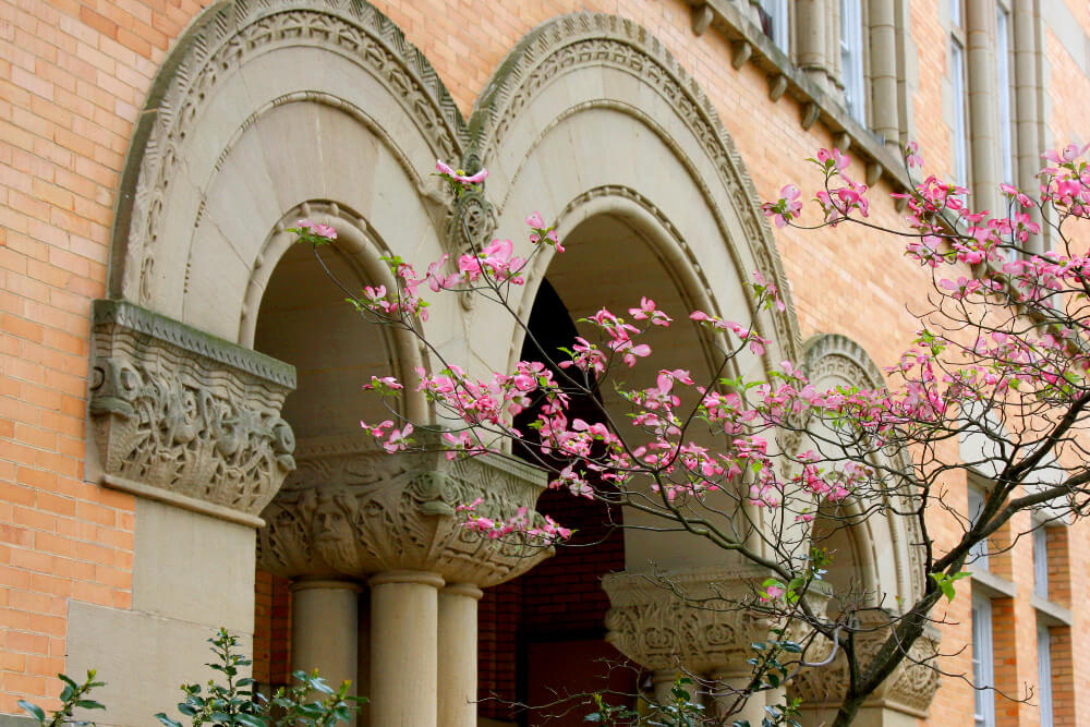 denison doane arches