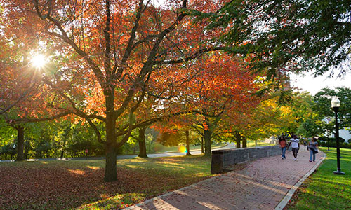 Chapel Walk