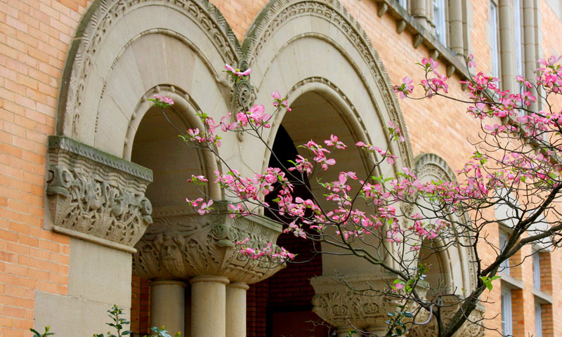 doane arches