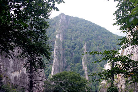 Two ridges of vertically-dipping Tuscarora Sandstone, repeated by the Judy Gap fault