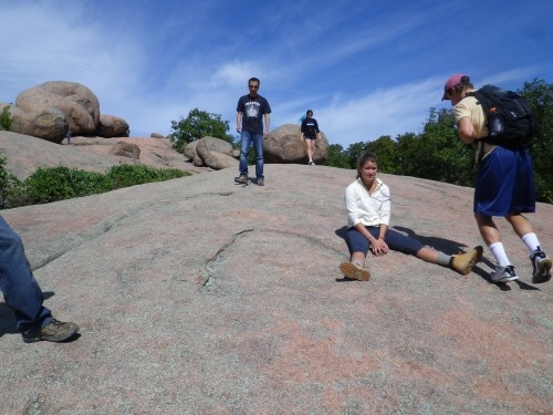 Paleozoic on a rock